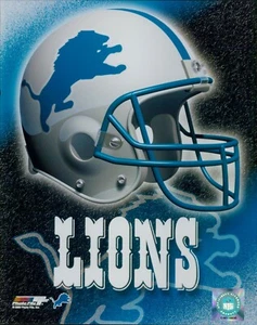 Detroit Lions Team Logo NFL Licenza Non Firmato Lucido 8x10 Foto B - Foto 1 di 1
