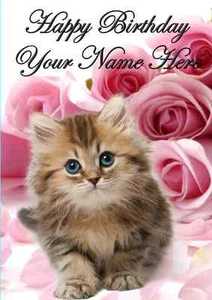 Kätzchenkarte PID274 alle Gelegenheiten personalisierte Grußkarte Geburtstag GESCHENKE - Bild 1 von 2