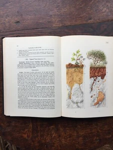 Book - Picture 1 of 4