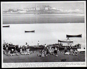1989 -- HENDAYE PECHE COTIERE A BORD DE TRAINIERES A VOILE ET AVIRON 3M448 - Picture 1 of 1