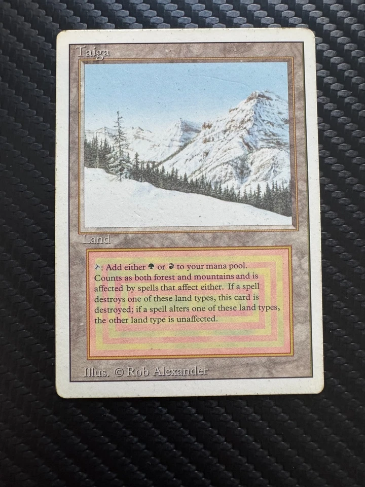 Taiga (English) Dual Land - Magic The Gathering (MTG Revised Edition) - Image 1 of 2