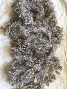 Natural Grey Mohair - 4oz direct from the farm via Leroy and Larry - Picture 1 of 3