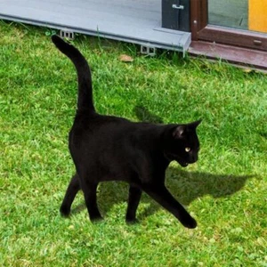 Waterproof Cat Garden Stake Acrylic Simulation Black Cat Statue Outdoor GB - Picture 1 of 10