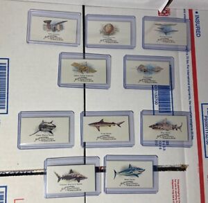 2008 Allen & Ginter Worlds Deadliest Sharks Set & Pioneers of Aviation Mini Set