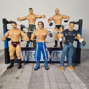 5 figuras de lucha libre WWE Jakks Pacific 2003 London Gymini Cena Conway Hardy - Imagen 1 de 11