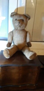 OURS ancien mohair garniture Paille Streiff Teddy ? Articulé 1920 51 cm TB Etat - Foto 1 di 12