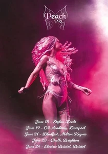 Póster de la gira Peach Prc 2025 Reino Unido música pop concierto arte impresión, música decoración del hogar - Imagen 1 de 8