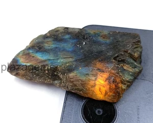 240.95 CT Ammolite Rough Slab – Natural Brown Uncut Gemstone, EGL Certified 5ARU - Picture 1 of 9