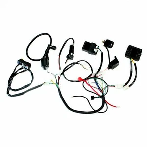 Arnés de cableado básico telar DC 150 250cc motor PIT cuádruple bicicleta todo terreno buggy - Imagen 1 de 10