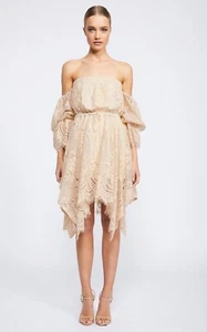 SHONA JOY Dress Size 12 Ivory Lace Off Shoulder Gypsy Bohemian Mini Dress - Picture 1 of 8