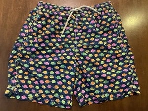 MC 2 Saint Barth Fish boys swim trunks size 12 - Picture 1 of 5