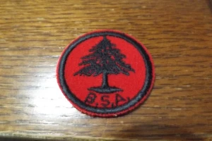 PARCHE BOY SCOUT PATRULLA MEDALLÓN FIELTRO PINO 1933 - 1953 - Imagen 1 de 2