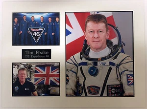 SPACE Tim PEAKE 16 x 12 Montaje D, Astronauta Británico ESA ISS EXPLORACIÓN 46 - Imagen 1 de 1