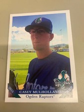 Casey Mulholland 2015 Ogden Raptors Team Card