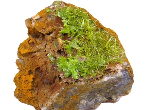 TOP Pyromorphite - Saint-Salvy Mine, Languedoc, France - 2,5 x 2,5 x 2cm - 9gr - Picture 1 of 4