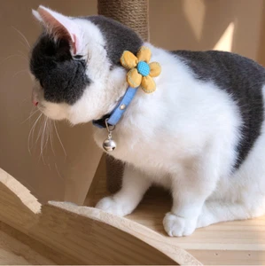 Pet Dog Bell Collar Safety Adjustable Puppy Cat Necklace For Dogs Pet Collar - Picture 1 of 9