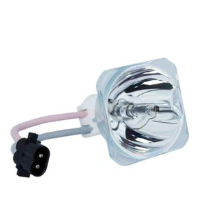 Lámpara desnuda proyector Vivitek 5811100235 Phoenix - Imagen 1 de 5
