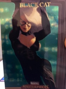 2007 Marvel Masterpieces FOIL Parallel Base #09 #9 BLACK CAT Single NM/M🔥🔥*