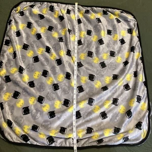 DC Comics Batman Baby Blanket, Soft and Plush Baby Blankets Minky Dot Blanket - Picture 1 of 6