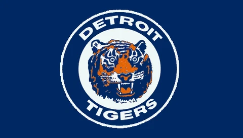 Detroit Tigers Flag 3x5ft Banner Polyester Baseball World Series tigers020 Cover