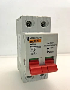 MERLIN GERIN 125 AMP DOUBLE POLE MAIN SWITCH DISCONNECTOR MGI1252 (F) - Picture 1 of 3