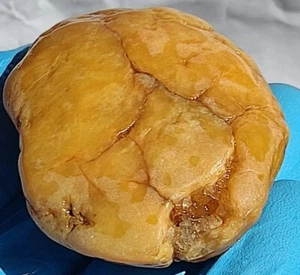 Geoda del río Tennessee 72 g espécimen de ágata jaspe gema de cristal Chert - Imagen 1 de 10