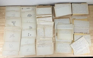 Vintage Educational Biology Agriculture Notecards Junk Journal Crafts Drawings - Foto 1 di 11