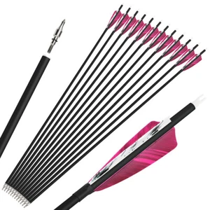 28" 30'' 31" Archery Carbon Arrows SP500 4" Turkey Feathers Bow Hunting Target - Picture 1 of 20