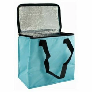 Large Light Blue Cool Bag 12L Redwood Leisure CB345 - Picture 1 of 1
