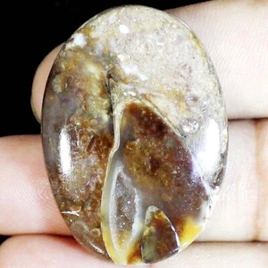 84.90CT Natural Fossil Snail Druzy Agate 32X44X7mm Fossillized Druzy stone BC-19 - Picture 1 of 11