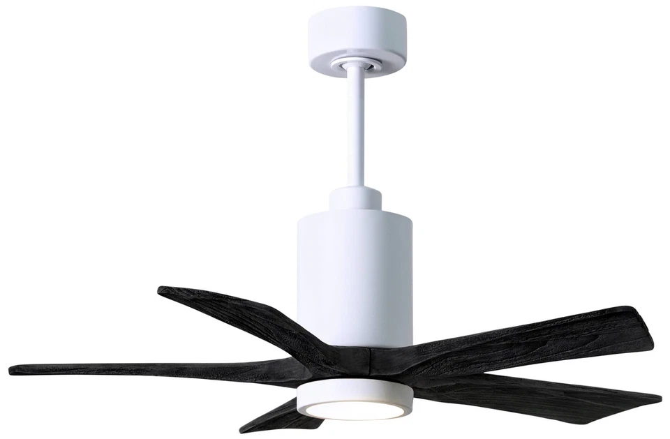 42" Patricia-5 Gloss White LED Ceiling Fan with Black Blades - Image 1 of 1