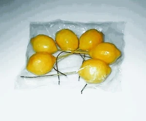 Limoni x 6 steccati H 13 - Sconti per Fioristi e Aziende - Foto 1 di 6