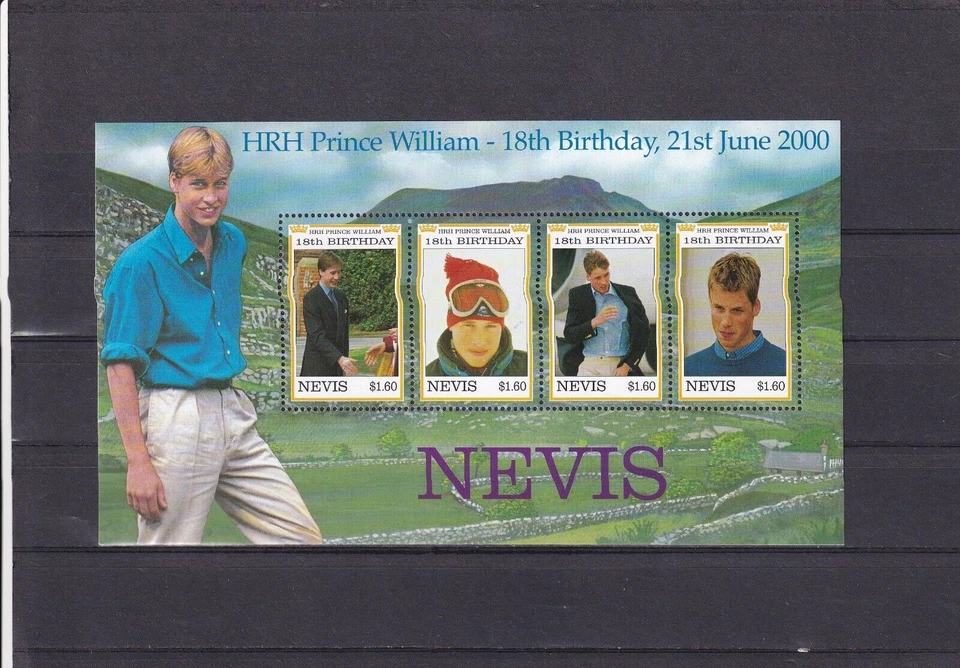 SA11e Nevis 2000 18th Anniv Birth of Prince William of Wales mint S/S - Image 1 of 1