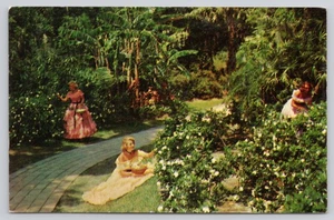 Pflücken Gardenien am Schönheitsort der Südflorida Zypressengärten Postkarte - Bild 1 von 2