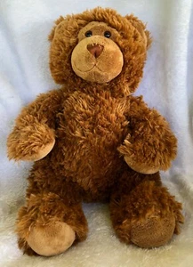 Costruisci un orsacchiotto orsacchiotto shaggy peluche seduta altezza 13" - Foto 1 di 7