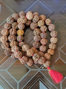 7 mukhi rudraksha mala 55 beads nepal beads knotted beads Lab certified - Picture 1 of 5