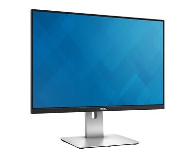 Dell UltraSharp U2415 24in Widescreen IPS LCD Monitor • 95$