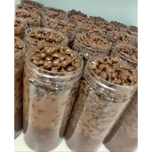 choco jar - Picture 1 of 2