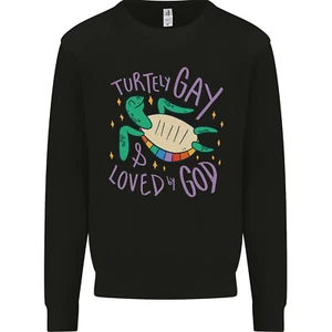 LGBT Turtle Loved By God Gay Pride Kids Sweatshirt Jumper - Picture 1 of 97