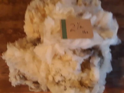 RAW Wool Fiber- 2.5 Lbs. -Clun Forrest- White- Spinning, Felting, Weaving,... - Image 1 of 3