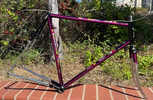 Paletti Asymmetrical Prestige 57cm Vintage road frame & fork, Asymmetrical stay - Picture 1 of 24