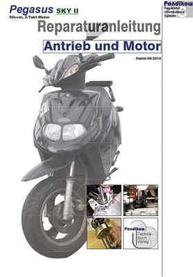 Reparaturanleitung RIS Pegasus Sky II 50, 2T, Antrieb und Motor - Bild 1 von 3