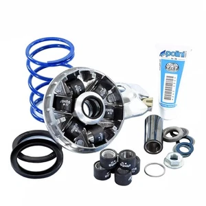 KIT VARIATORE POLINI HISPEED EVO 2 PER PIAGGIO NRG POWER H2O E4 C47100 50 2018 - Foto 1 di 4