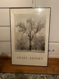 ANSEL ADAMS 25.5x36 Oak Tree, Snowstorm, Yosemite National Park, California 1984 - Picture 1 of 2
