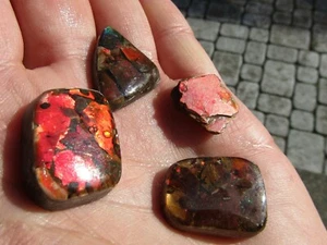 Hermoso Lote (3) Cabinas de Amonita y (1) pieza áspera. 73,5 cts. Alberta, Canadá - Imagen 1 de 12