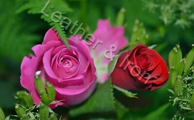 Cubierta de chequera de vinilo diseño rosas rosas y rojas Foto 1 de 2