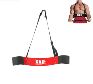 Arm Blaster Bizeps Isolator Bomber Curl Fitness Gewichtheben Muskelaufbau  - Bild 1 von 1