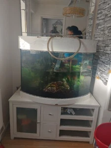 Large, 5 Foot Aquarium fish tank.  - Picture 1 of 2