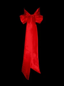New Bright RED Satin Wedding Bridal Fancy Dress Party Ribbon Sash Tie Belt Band - Picture 1 of 11