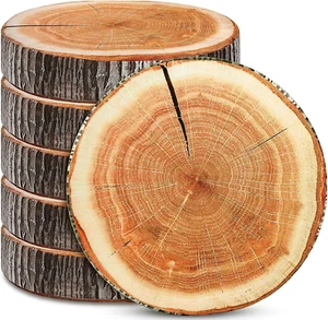 6 Pcs Round Throw Pillow Wood Slice Chair Decorative Realistic - Picture 1 of 7